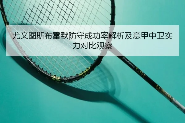 尤文图斯布雷默防守成功率解析及意甲中卫实力对比观察
