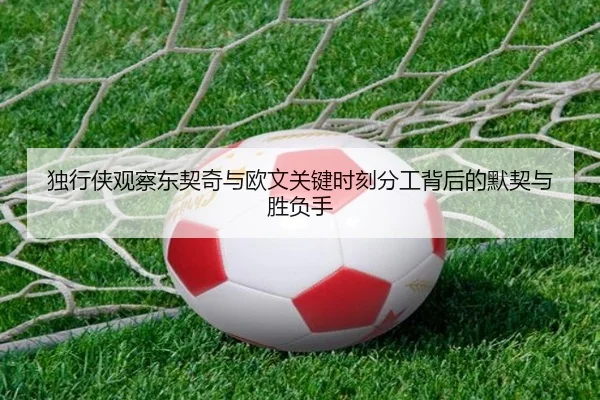 独行侠观察东契奇与欧文关键时刻分工背后的默契与胜负手